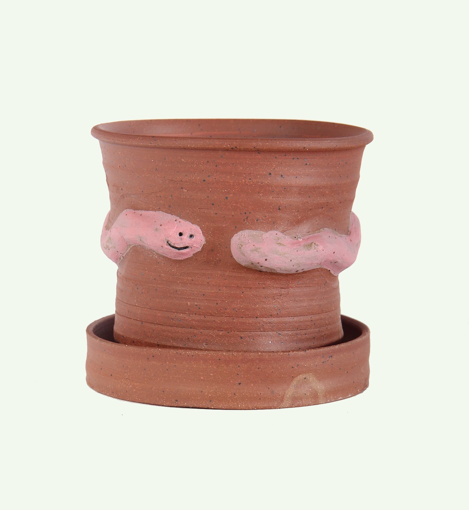 Worm Chasing Their Tail Plant Pot