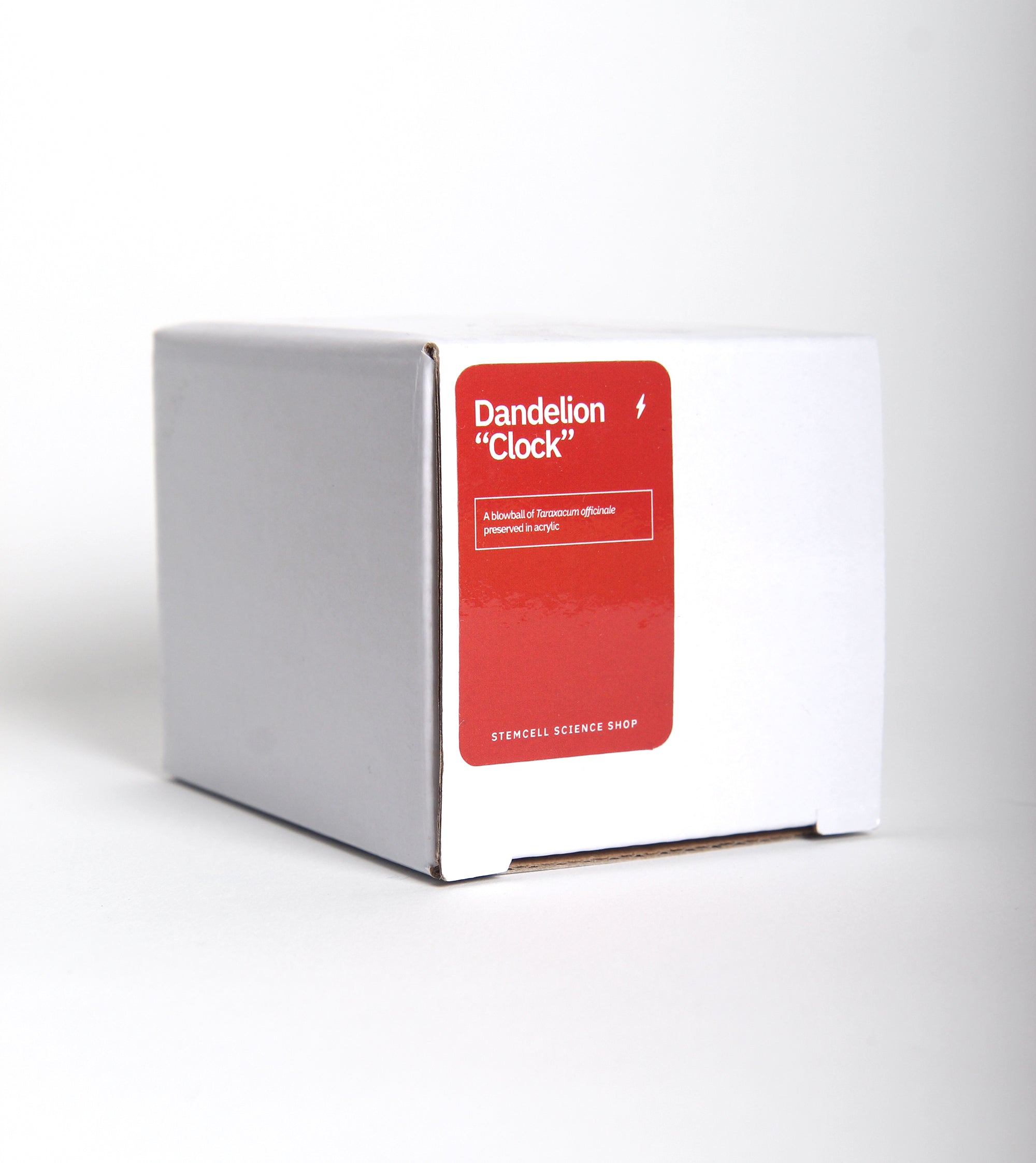 Preserved Dandelion – Sounds